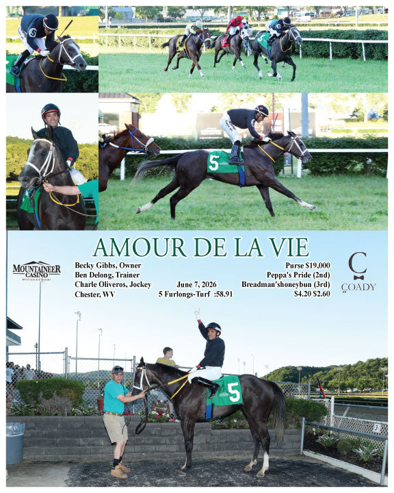 AMOUR DE LA VIE - 06-07-26 - R03 - MNR