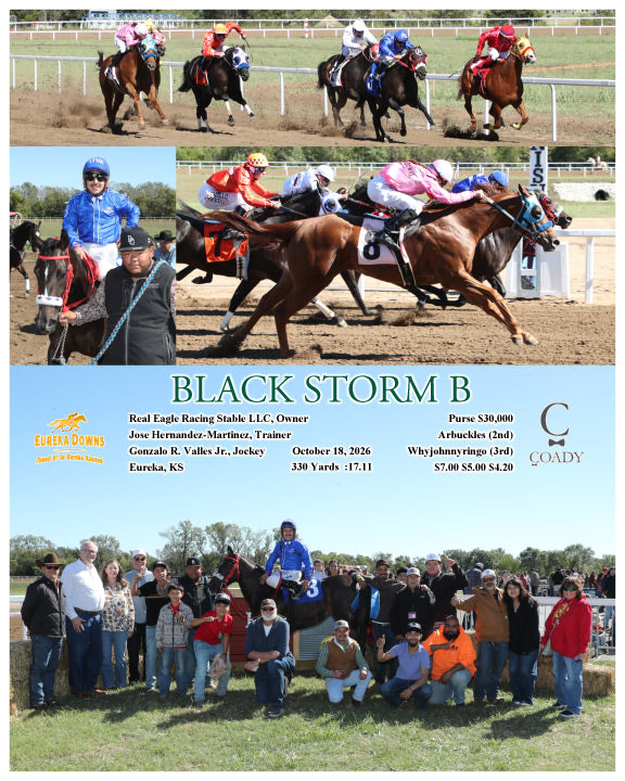 BLACK STORM B - 10-18-26 - R03 - EUR