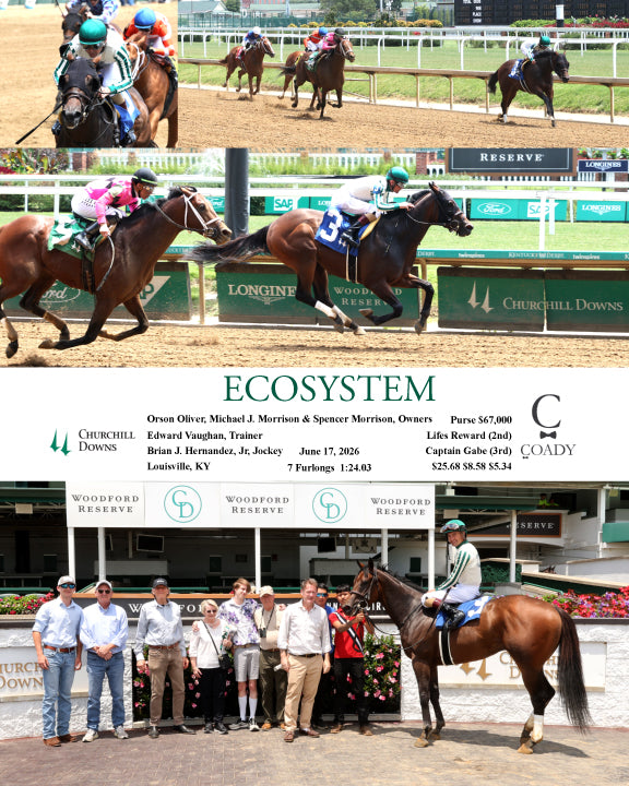 ECOSYSTEM - 06-17-26 - R03 - CD