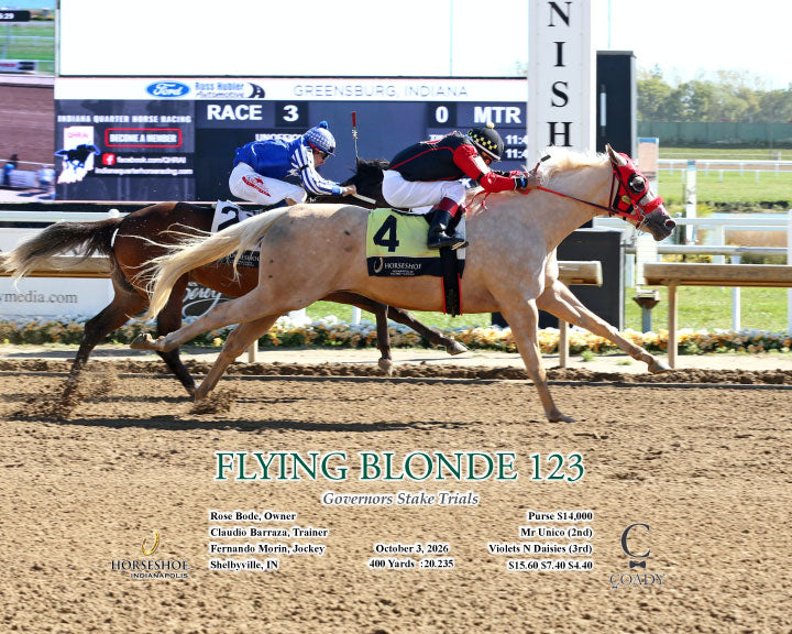 FLYING BLONDE 123 - Governors Stake Trials - 10-03-26 - R03 - IND - Action