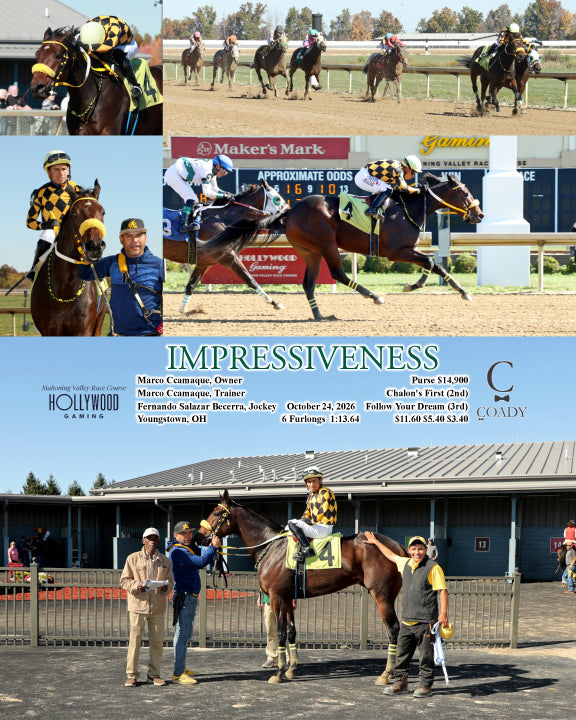 IMPRESSIVENESS - 10-24-26 - R03 - MVR