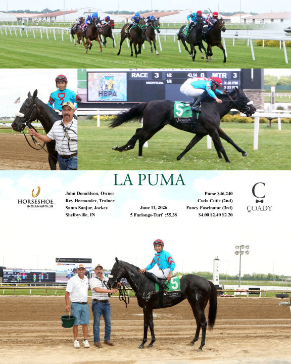 LA PUMA - 06-11-26 - R03 - IND