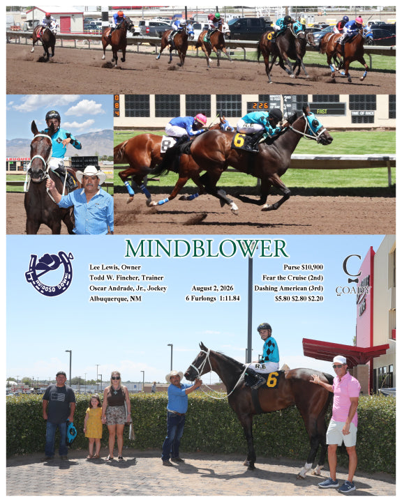 MINDBLOWER - 08-02-26 - R03 - RUI