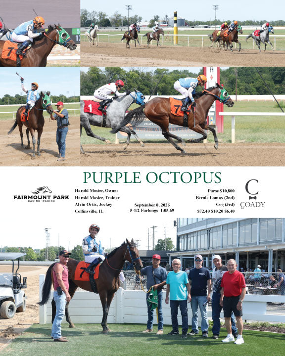 PURPLE OCTOPUS - 09-08-26 - R03 - FP