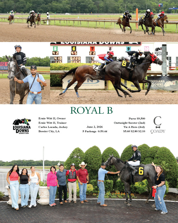 ROYAL B - 06-02-26 - R03 - LAD