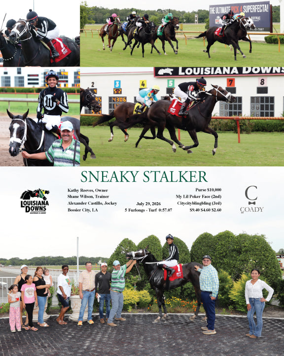 SNEAKY STALKER - 07-29-26 - R03 - LAD