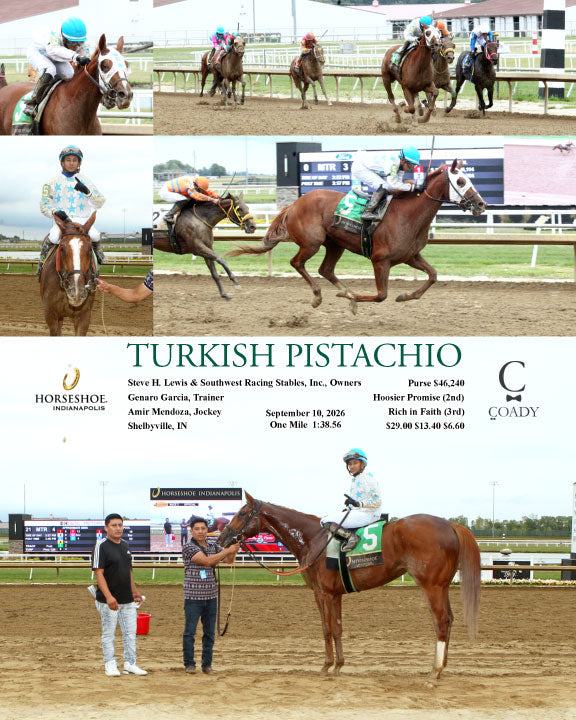 TURKISH PISTACHIO - 09-10-26 - R03 - IND