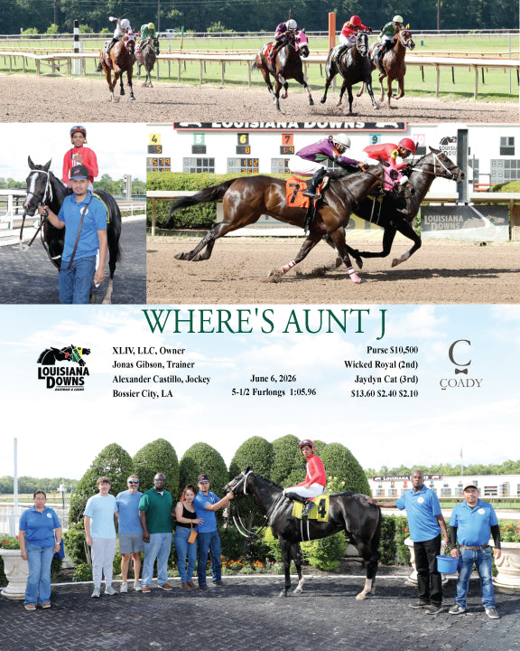 WHERE'S AUNT J - 06-06-26 - R03 - LAD