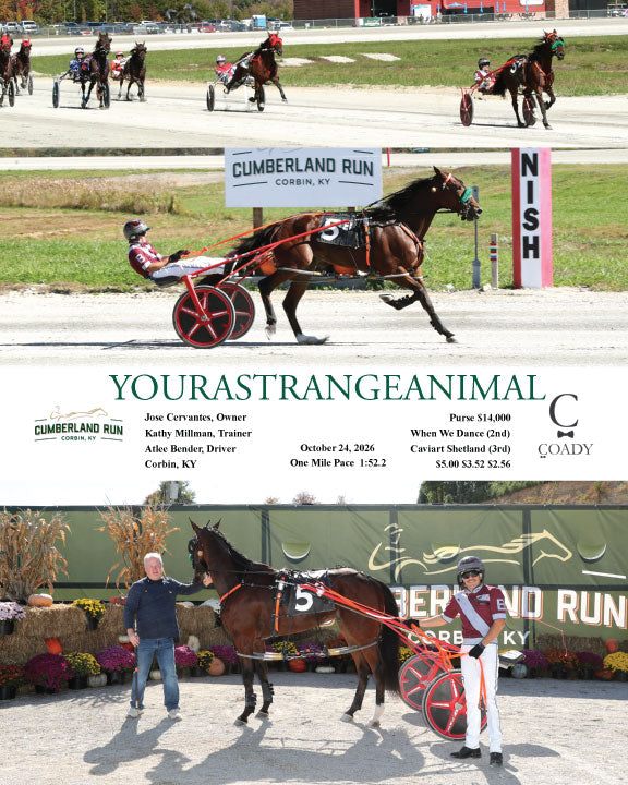YOURASTRANGEANIMAL - 102426 - Race 03 - CLR