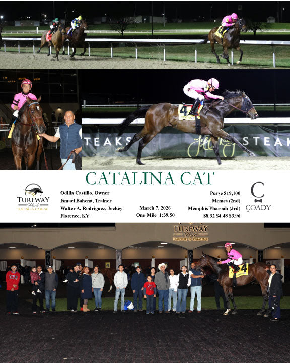 CATALINA CAT - 03-07-26 - R04 - TP - Coady Media - Kurtis Coady Photography