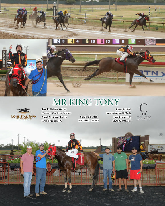 MR KING TONY - 10-01-26 - R04 - LSP