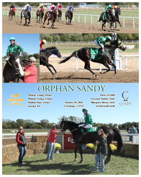 ORPHAN SANDY - 10-18-26 - R04 - EUR
