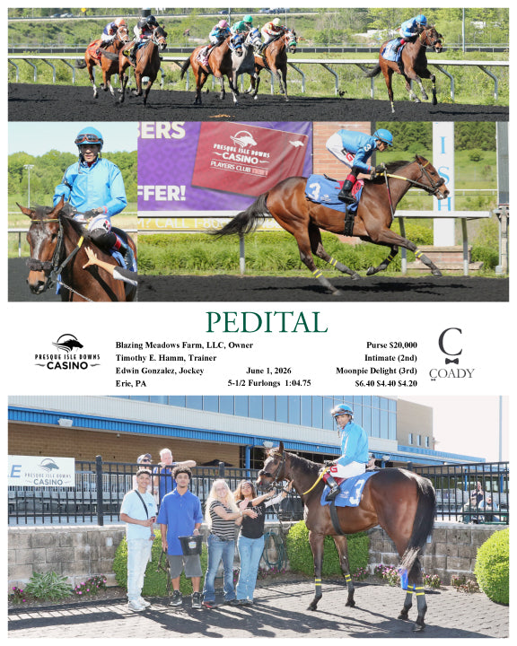 PEDITAL - 06-01-26 - R04 - PID