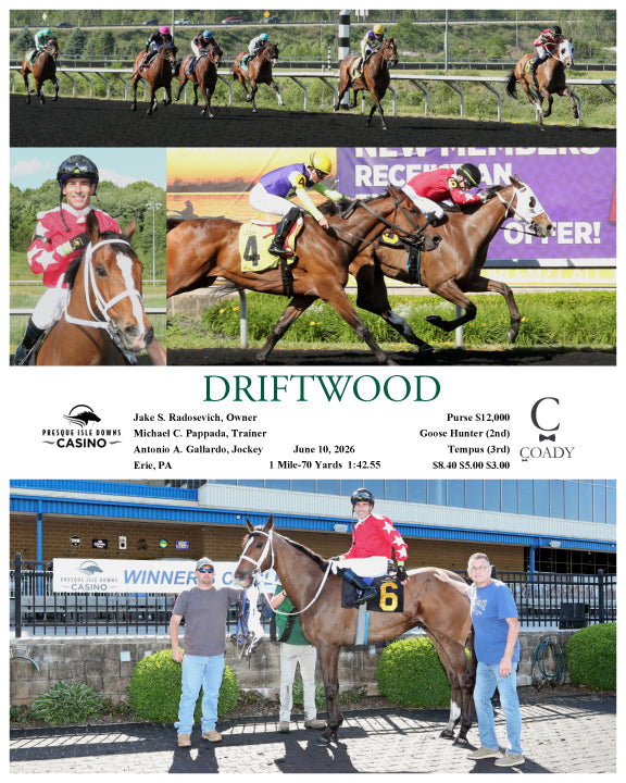 DRIFTWOOD - 06-10-26 - R05 - PID