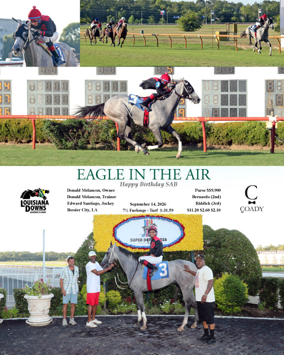 EAGLE IN THE AIR - Happy Birthday SAB - 09-14-26 - R05 - LAD