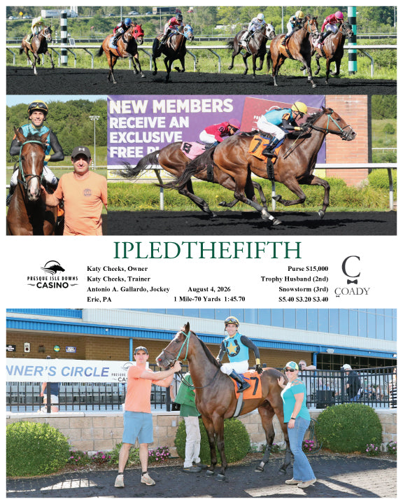 IPLEDTHEFIFTH - 08-04-26 - R05 - PID