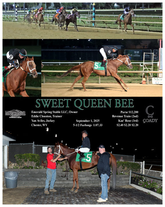 SWEET QUEEN BEE - 09-01-25 - R05 - MNR - Coady Media - Kurtis Coady Photography