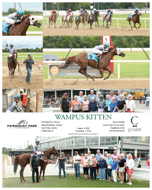 WAMPUS KITTEN - 08-01-26 - R05 - FP
