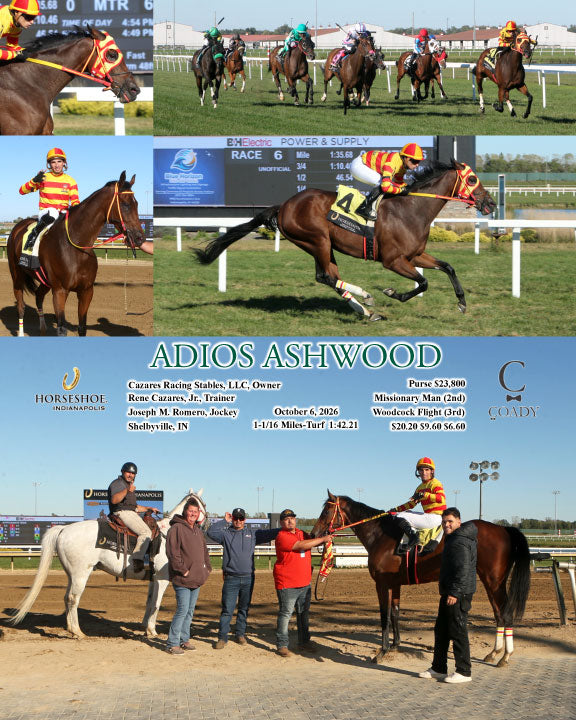 ADIOS ASHWOOD - 10-06-26 - R06 - IND
