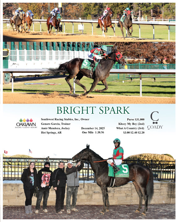 BRIGHT SPARK - 12-14-25 - R06 - OP
