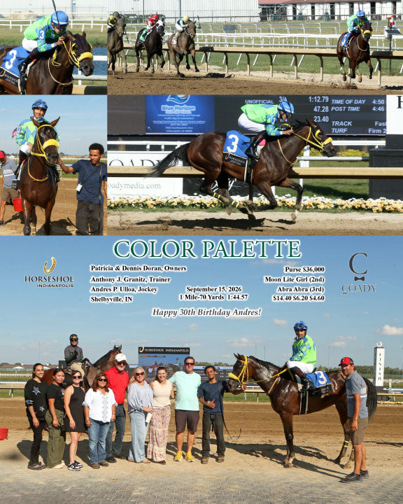 COLOR PALETTE - 09-15-26 - R06 - IND