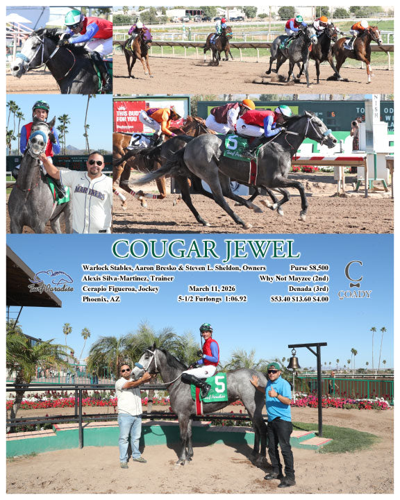 COUGAR JEWEL - 03-11-26 - R06 - TUP - Coady Media - Kurtis Coady Photography