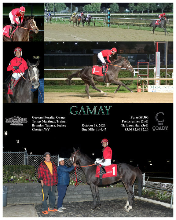GAMAY - 10-18-26 - R06 - MNR