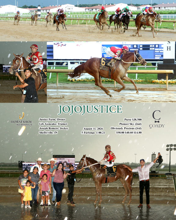 JOJOJUSTICE - 08-11-26 - R06 - IND
