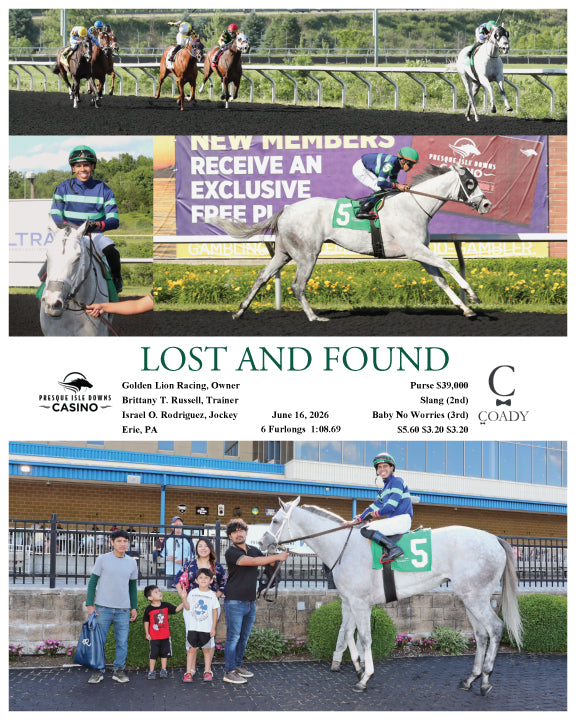 LOST AND FOUND - 06-16-26 - R06 - PID
