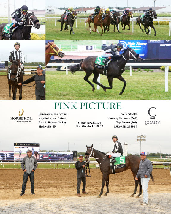 PINK PICTURE - 09-23-26 - R06 - IND