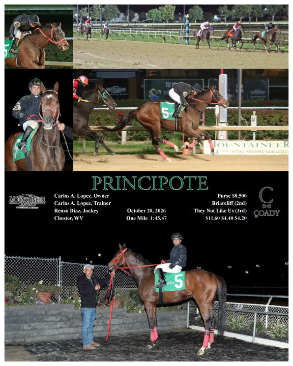 PRINCIPOTE - 10-20-26 - R06 - MNR - Coady Media - Kurtis Coady Photography