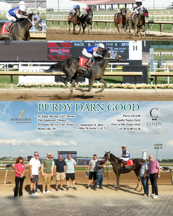 PURDY DARN GOOD - 09-08-26 - R06 - IND