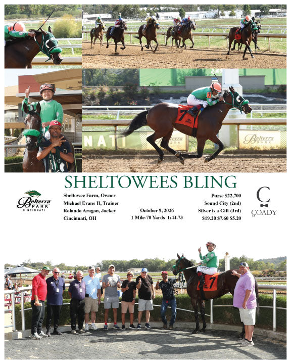 SHELTOWEES BLING - 10-09-26 - R06 - BTP