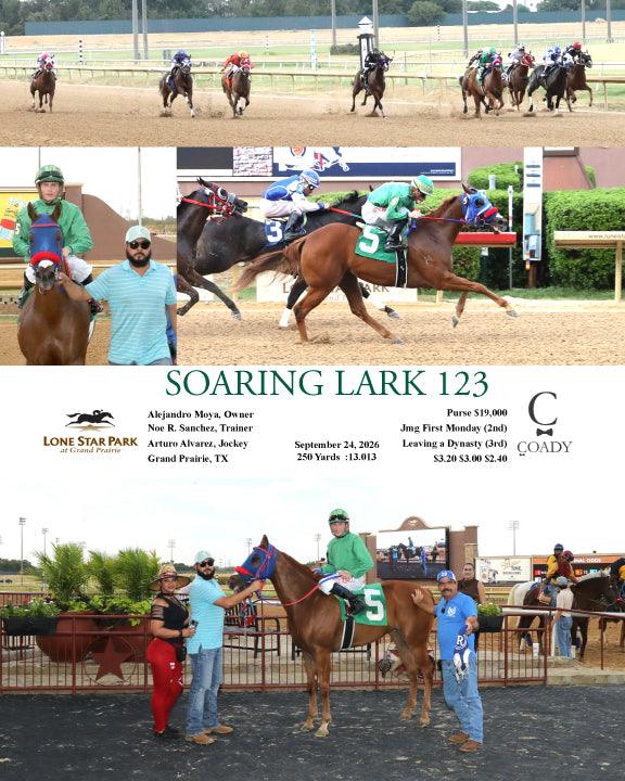 SOARING LARK 123 - 09-24-26 - R06 - LSP