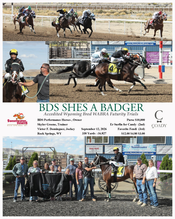 BDS SHES A BADGER - Accedited Wyoming Bred WABRA Futurity Trials - 09-12-26 - R06 - SWF