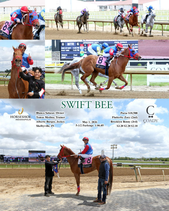 SWIFT BEE - 05-01-26 - R06 - IND - Coady Media - Kurtis Coady Photography