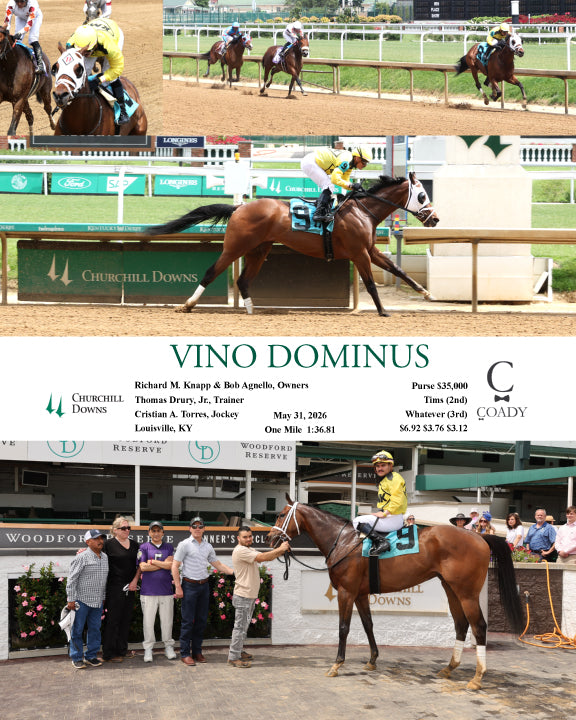 VINO DOMINUS - 05-31-26 - R06 - CD