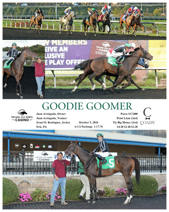 GOODIE GOOMER - 10-05-26 - R07 - PID