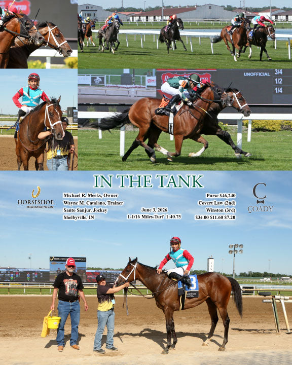 IN THE TANK - 06-03-26 - R07 - IND