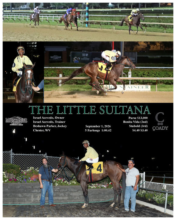 THE LITTLE SULTANA - 09-01-26 - R07 - MNR