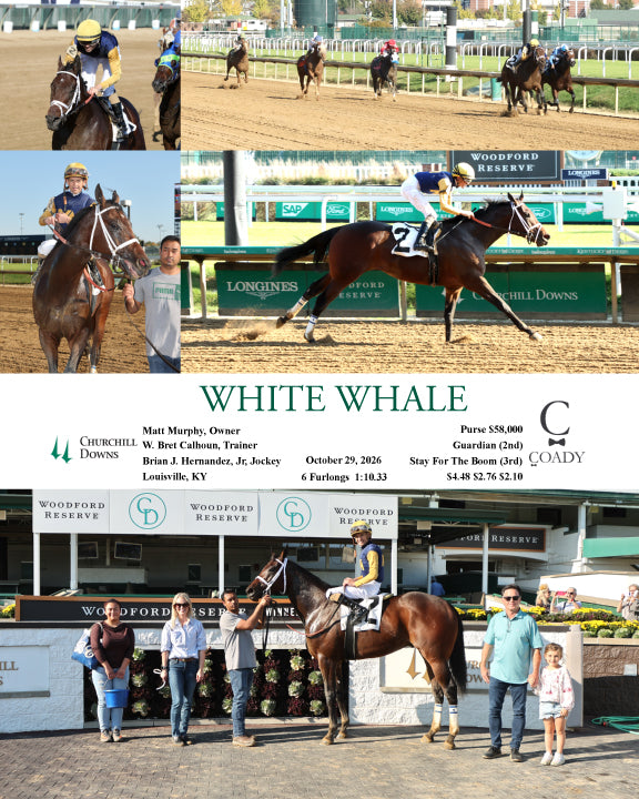 WHITE WHALE - 102926 - Race 07 - CD - Coady Media - Kurtis Coady Photography
