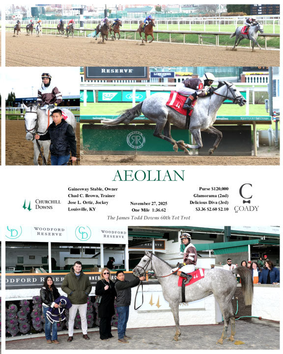 AEOLIAN - 11-27-25 - R08 - CD