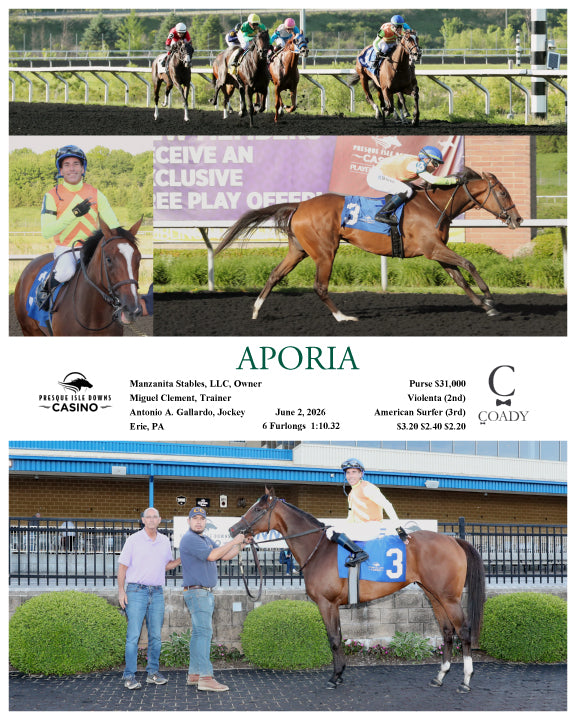 APORIA - 06-02-26 - R08 - PID