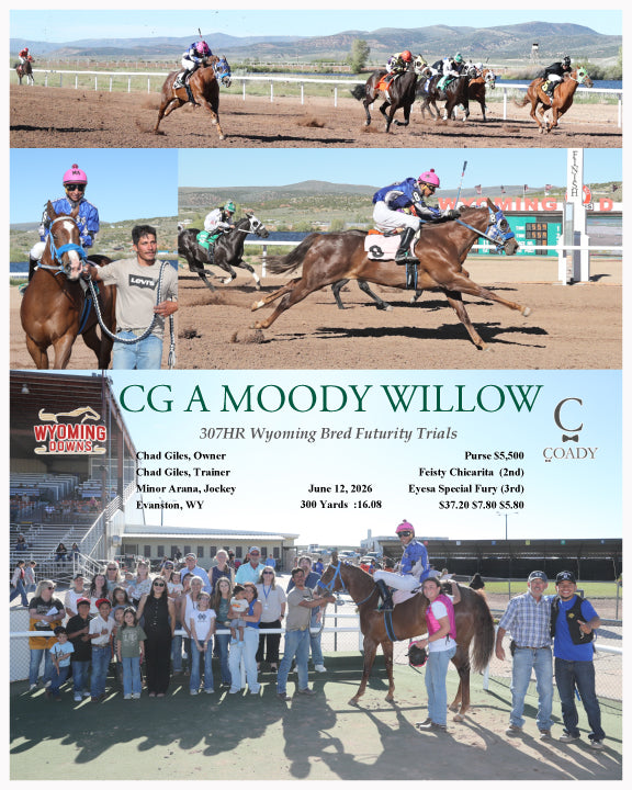 CG A MOODY WILLOW - 307HR Wyoming Bred Futurity Trials - 06-12-26 - R08 - WYO
