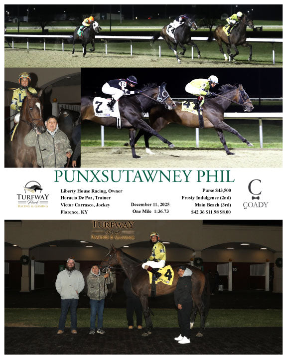 PUNXSUTAWNEY PHIL - 121125 - Race 08 - TP
