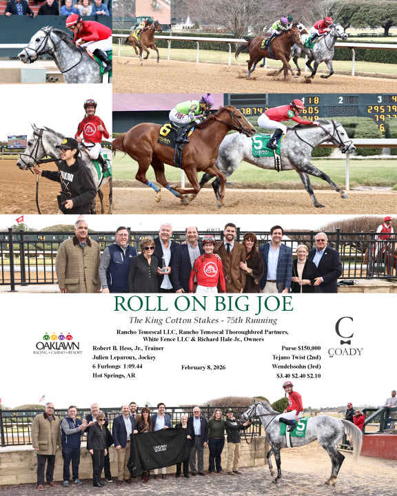 ROLL ON BIG JOE - The King Cotton Stakes - 02-08-26 - R08 - OP - Coady Media - Kurtis Coady Photography