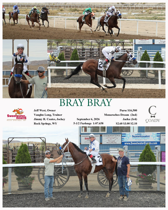 BRAY BRAY - 09-06-26 - R08 - SWF