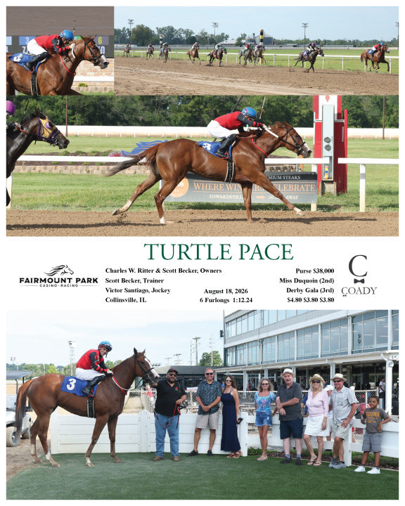 TURTLE PACE - 08-18-26 - R08 - FP