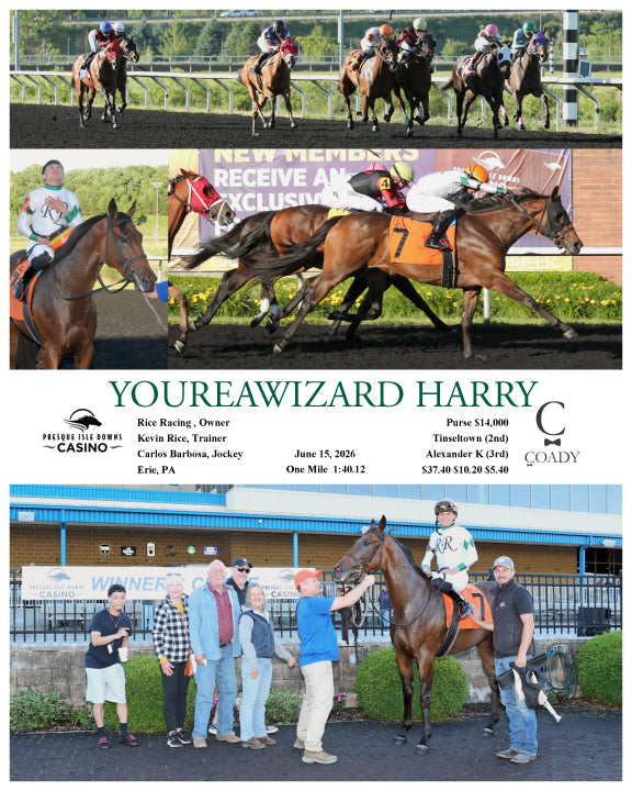 YOUREAWIZARD HARRY - 06-15-26 - R08 - PID
