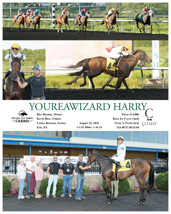 YOUREAWIZARD HARRY - 08-26-26 - R08 - PID